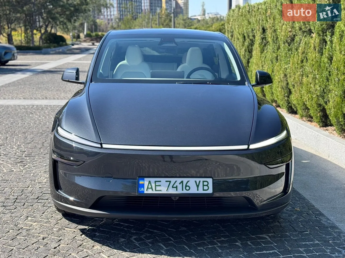 2025 Tesla Model Y - мініатюра 4