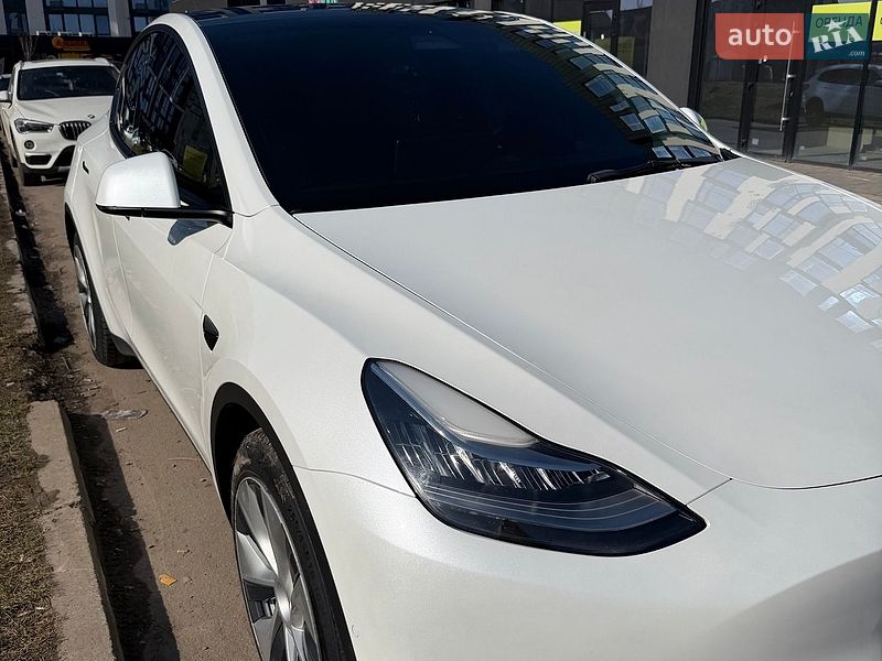 Позашляховик / Кросовер Tesla Model Y 2021 в Івано-Франківську