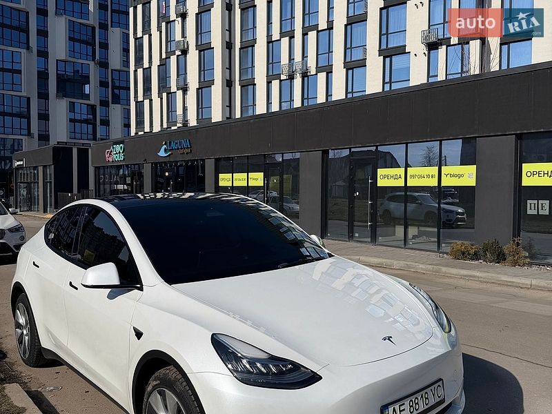 Позашляховик / Кросовер Tesla Model Y 2021 в Івано-Франківську