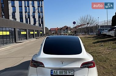 Позашляховик / Кросовер Tesla Model Y 2021 в Івано-Франківську
