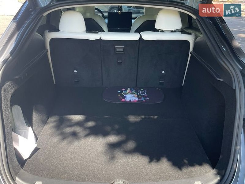 Внедорожник / Кроссовер Tesla Model Y 2024 в Житомире