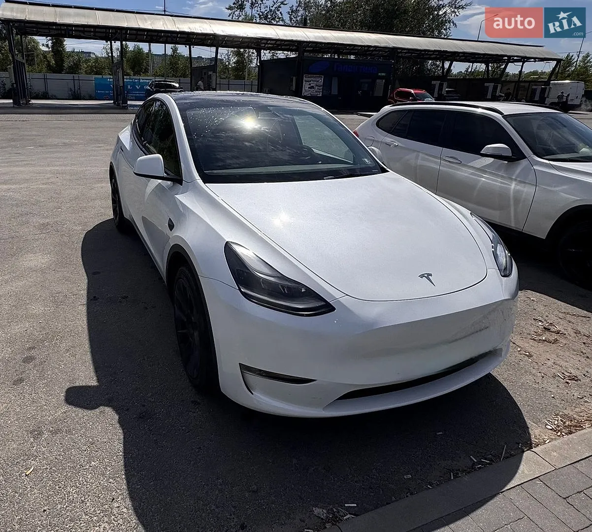 2023 Tesla Model Y - фото 1