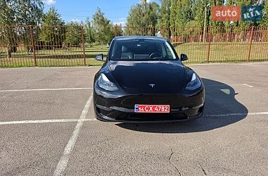 Внедорожник / Кроссовер Tesla Model Y 2023 в Луцке