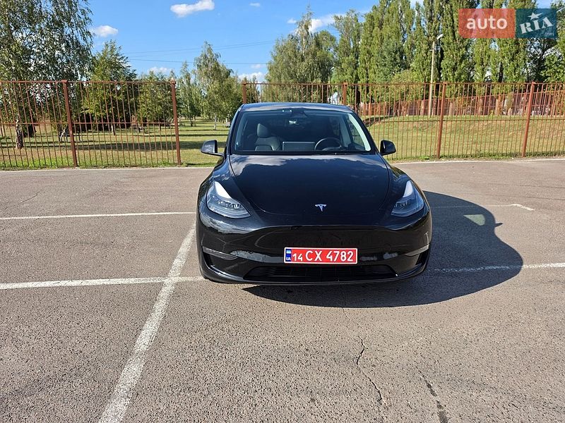 Внедорожник / Кроссовер Tesla Model Y 2023 в Луцке