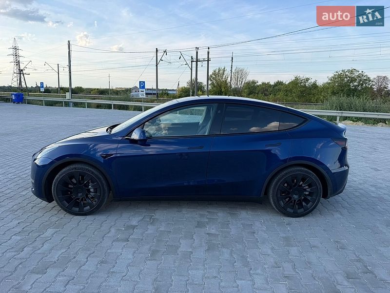 Позашляховик / Кросовер Tesla Model Y 2023 в Золочеві