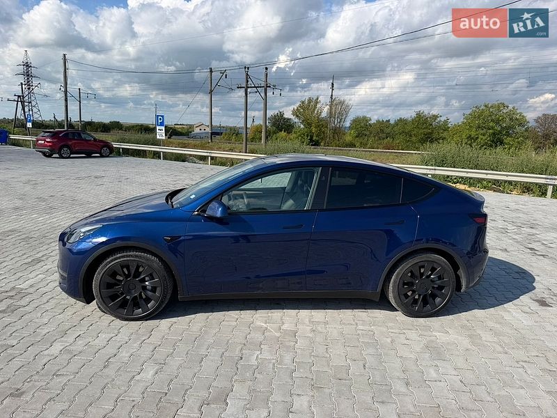 Позашляховик / Кросовер Tesla Model Y 2023 в Золочеві