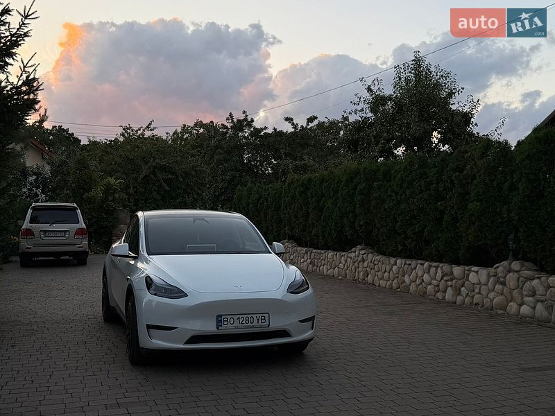 Позашляховик / Кросовер Tesla Model Y 2024 в Тернополі