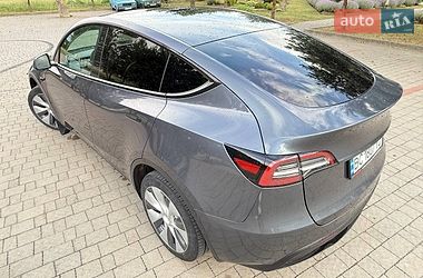 Позашляховик / Кросовер Tesla Model Y 2023 в Львові