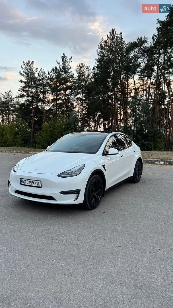 2021 Tesla Model Y - фото 1