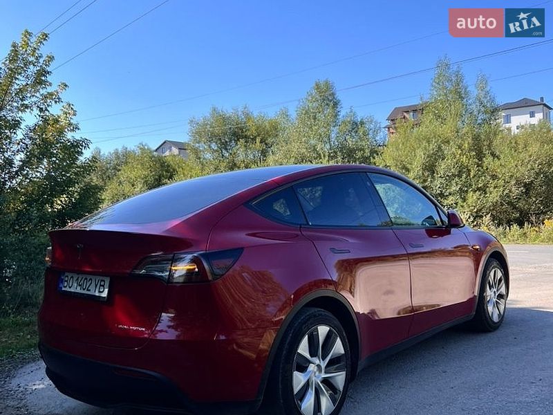 Позашляховик / Кросовер Tesla Model Y 2022 в Тернополі