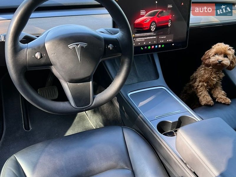 Позашляховик / Кросовер Tesla Model Y 2022 в Тернополі
