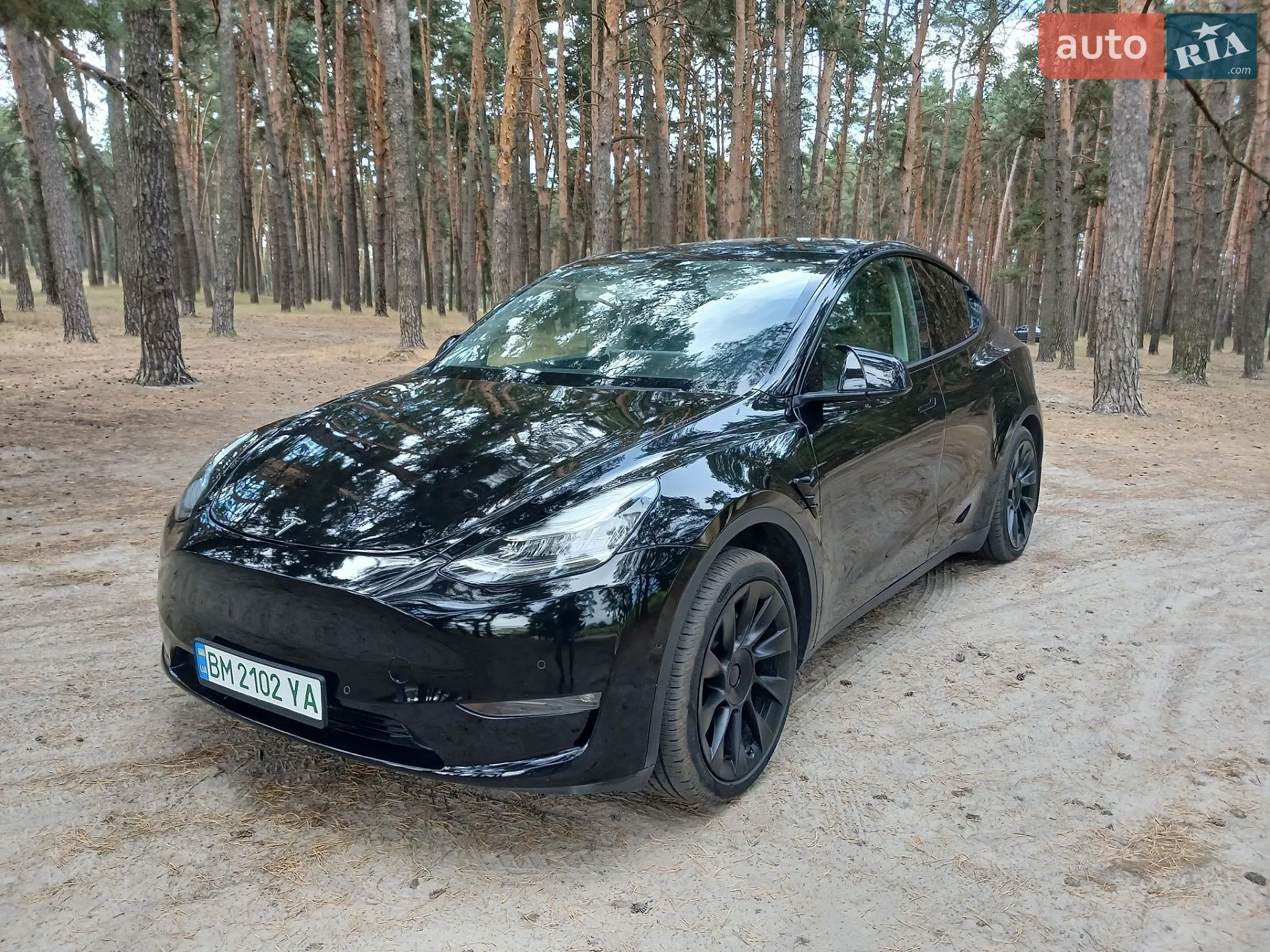 2022 Tesla Model Y - мініатюра 3
