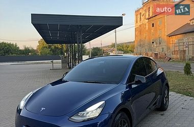 Позашляховик / Кросовер Tesla Model Y 2021 в Чернівцях