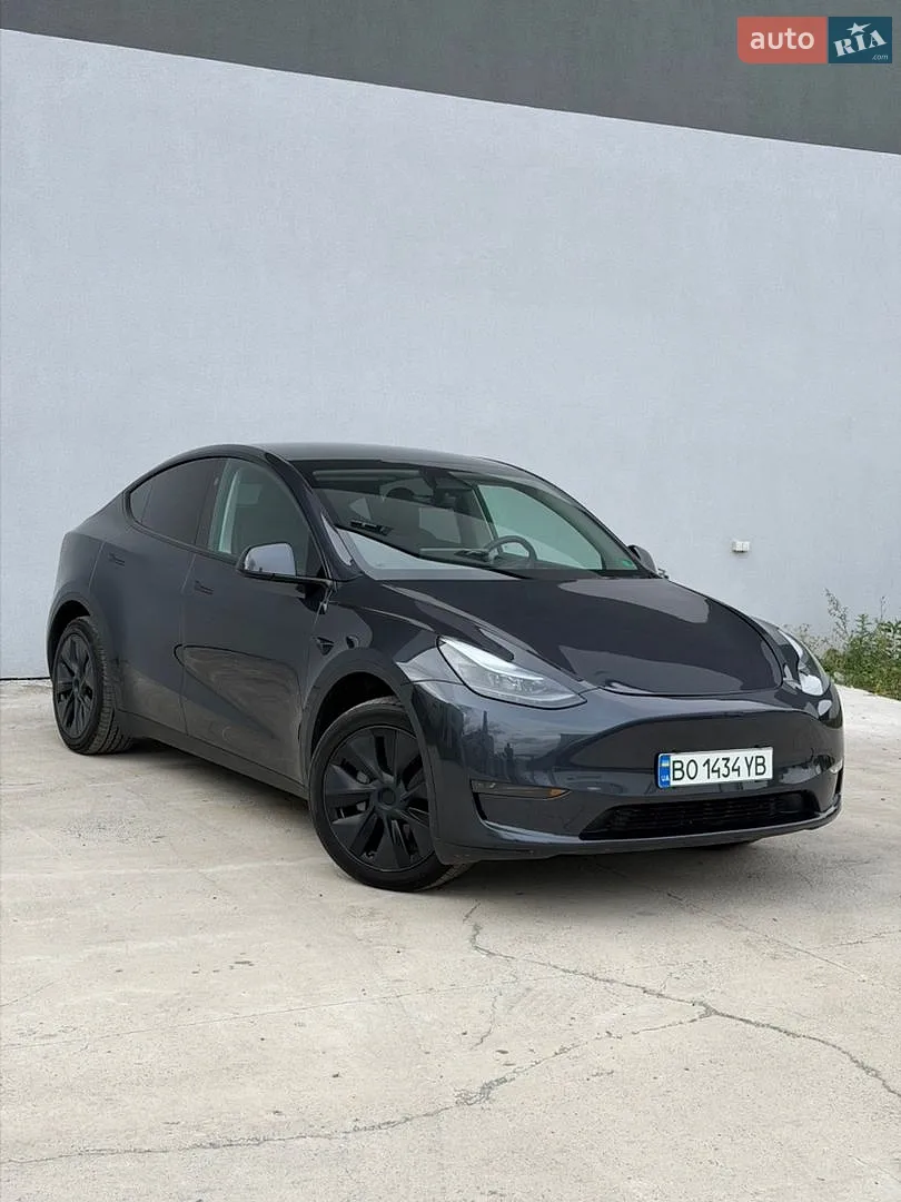 2025 Tesla Model Y - фото 1
