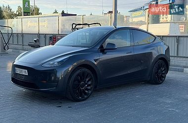 Внедорожник / Кроссовер Tesla Model Y 2024 в Тернополе