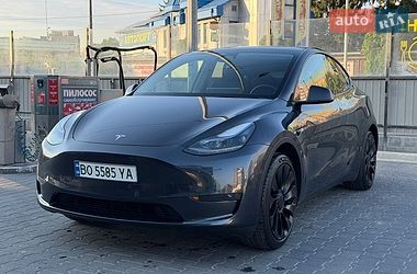 Внедорожник / Кроссовер Tesla Model Y 2024 в Тернополе