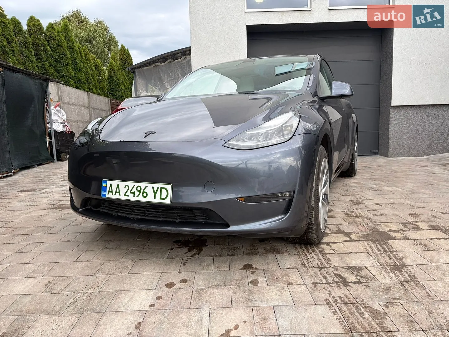 2023 Tesla Model Y - фото 1