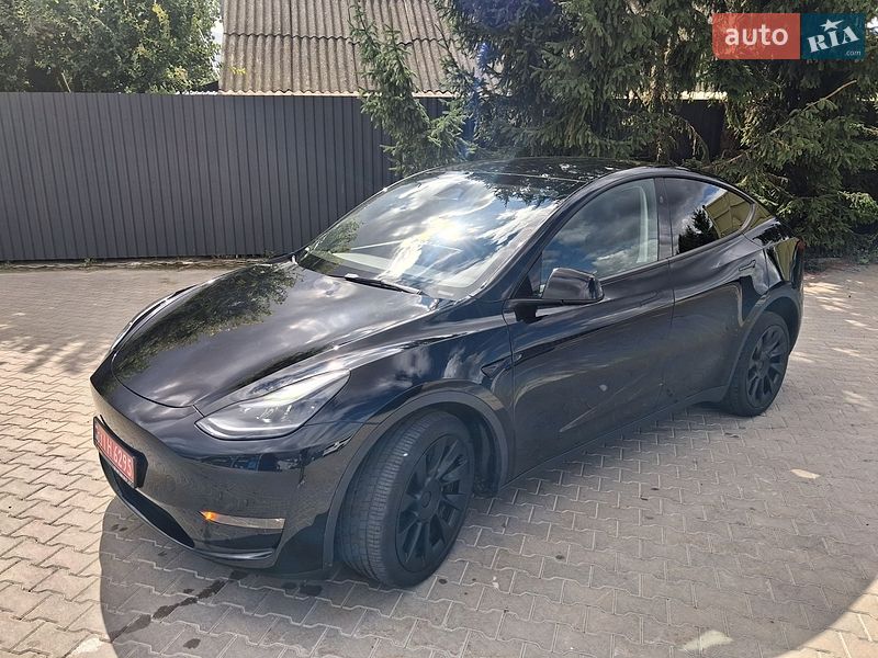 Позашляховик / Кросовер Tesla Model Y 2024 в Ланівці