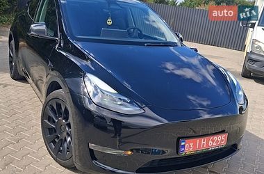 Внедорожник / Кроссовер Tesla Model Y 2024 в Лановцах