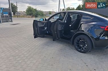 Внедорожник / Кроссовер Tesla Model Y 2024 в Лановцах