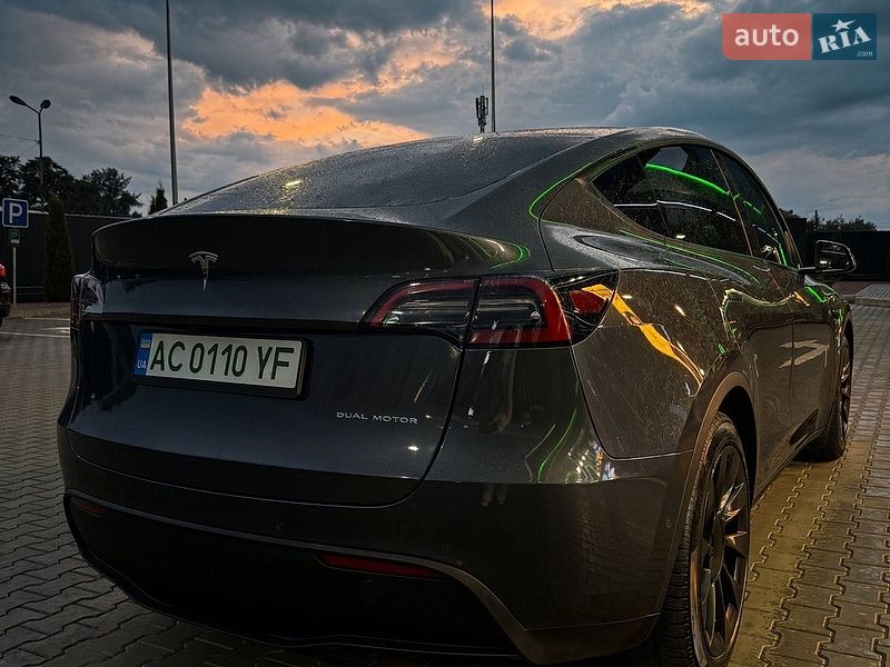 Позашляховик / Кросовер Tesla Model Y 2021 в Луцьку