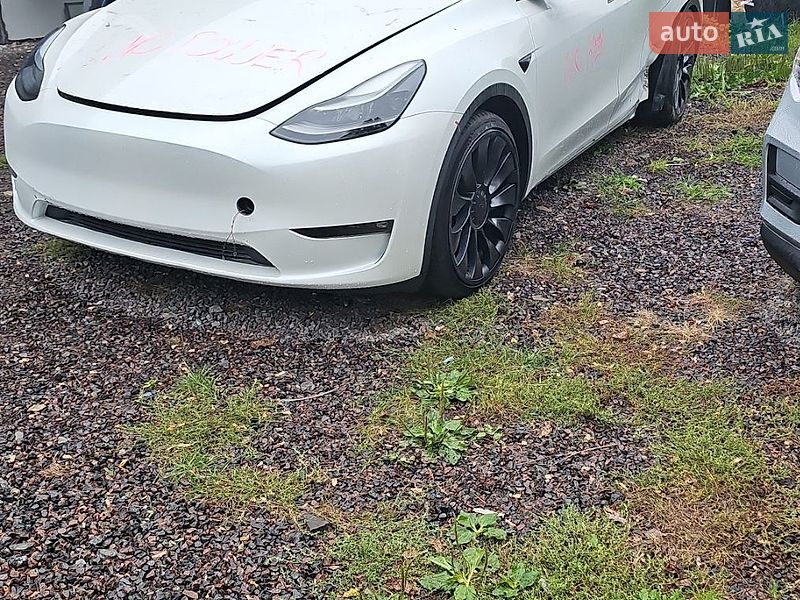 Внедорожник / Кроссовер Tesla Model Y 2023 в Полтаве