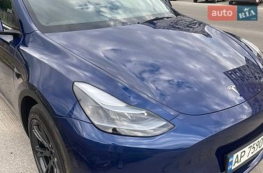 Внедорожник / Кроссовер Tesla Model Y 2024 в Запорожье