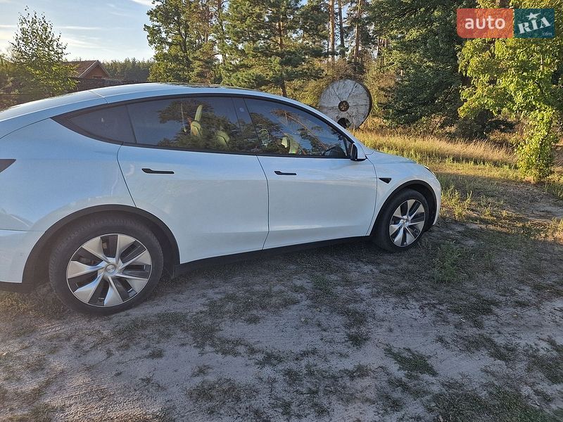 Позашляховик / Кросовер Tesla Model Y 2022 в Черкасах