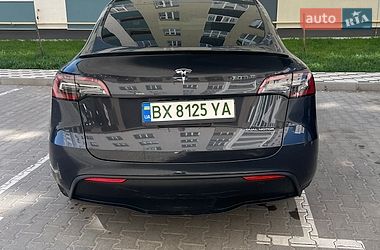 Внедорожник / Кроссовер Tesla Model Y 2024 в Хмельницком