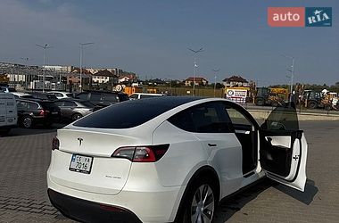 Позашляховик / Кросовер Tesla Model Y 2021 в Чернівцях