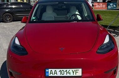 Позашляховик / Кросовер Tesla Model Y 2023 в Києві