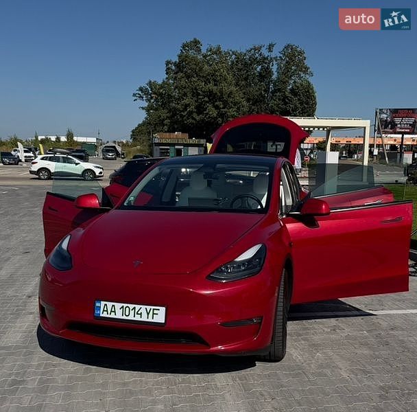 Позашляховик / Кросовер Tesla Model Y 2023 в Києві