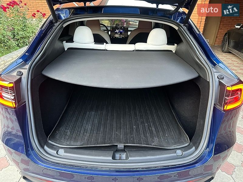 Позашляховик / Кросовер Tesla Model Y 2023 в Дніпрі