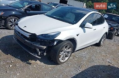 Позашляховик / Кросовер Tesla Model Y 2020 в Івано-Франківську