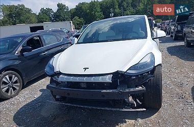 Позашляховик / Кросовер Tesla Model Y 2020 в Івано-Франківську