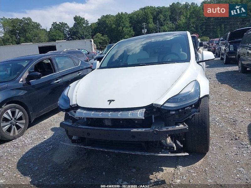 Позашляховик / Кросовер Tesla Model Y 2020 в Івано-Франківську