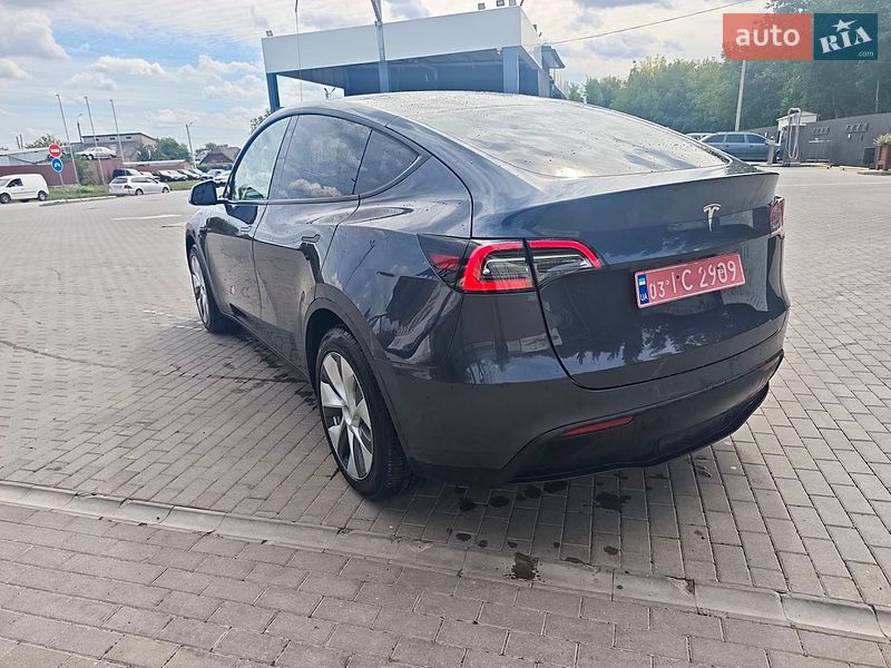 Позашляховик / Кросовер Tesla Model Y 2023 в Кам'янець-Подільському