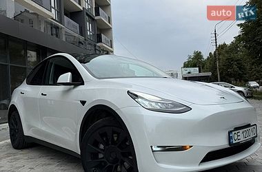 Внедорожник / Кроссовер Tesla Model Y 2023 в Черновцах фото 24 Внедорожник / Кроссовер Tesla Model Y 2023 в Черновцах