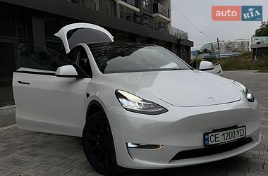 Внедорожник / Кроссовер Tesla Model Y 2023 в Черновцах фото 54 Внедорожник / Кроссовер Tesla Model Y 2023 в Черновцах