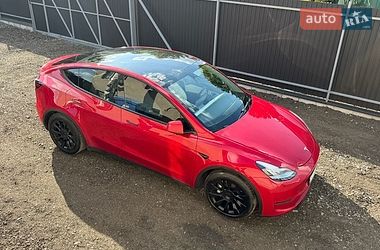 Внедорожник / Кроссовер Tesla Model Y 2021 в Тернополе