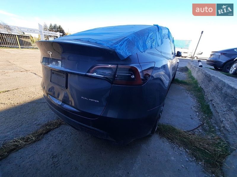 Внедорожник / Кроссовер Tesla Model Y 2023 в Киеве