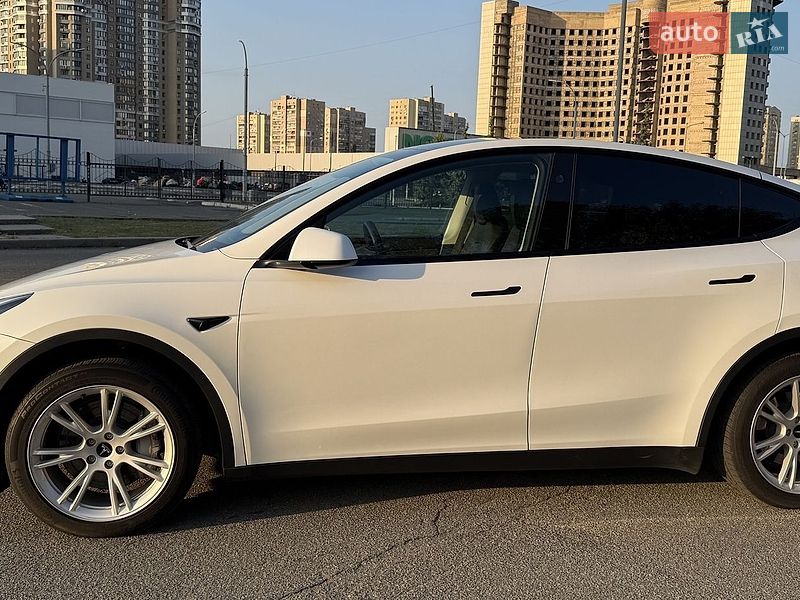 Позашляховик / Кросовер Tesla Model Y 2023 в Києві