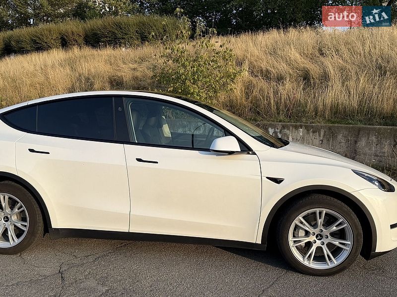 Позашляховик / Кросовер Tesla Model Y 2023 в Києві