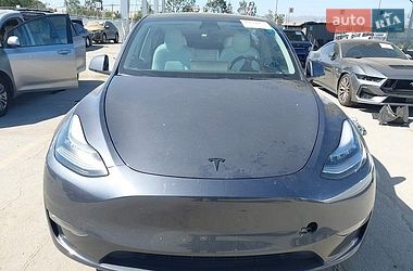Внедорожник / Кроссовер Tesla Model Y 2023 в Черновцах