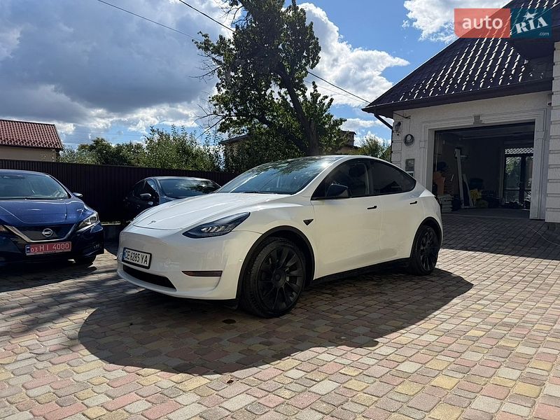 Позашляховик / Кросовер Tesla Model Y 2023 в Чернівцях