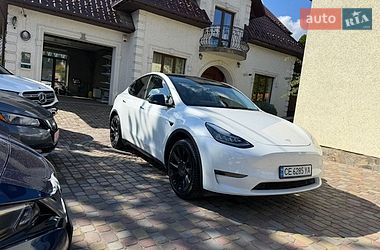 Позашляховик / Кросовер Tesla Model Y 2023 в Чернівцях
