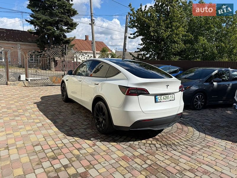 Позашляховик / Кросовер Tesla Model Y 2023 в Чернівцях