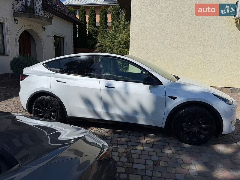 Позашляховик / Кросовер Tesla Model Y 2023 в Чернівцях