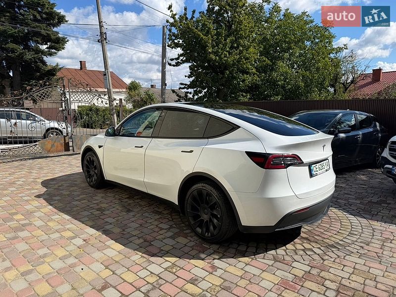 Позашляховик / Кросовер Tesla Model Y 2023 в Чернівцях