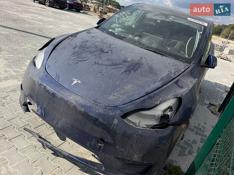 Внедорожник / Кроссовер Tesla Model Y 2023 в Львове